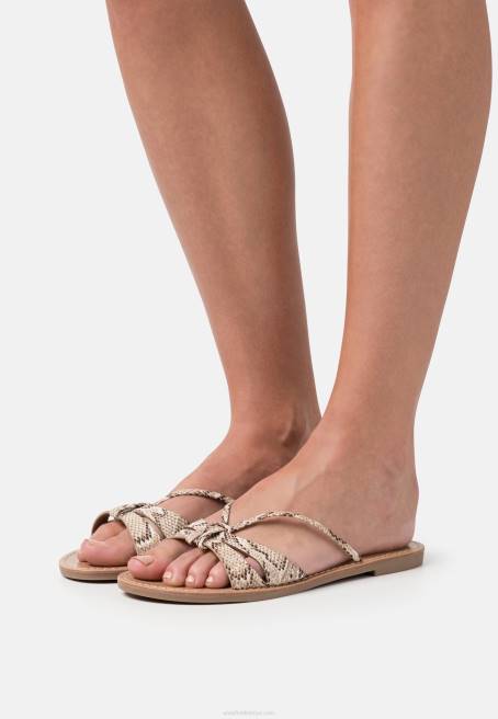 katır kahverengi Anna Field F2021882 kadınlar