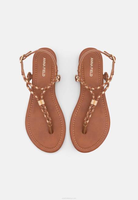 t-bar sandalet konyak/altın Anna Field F2021512 kadınlar